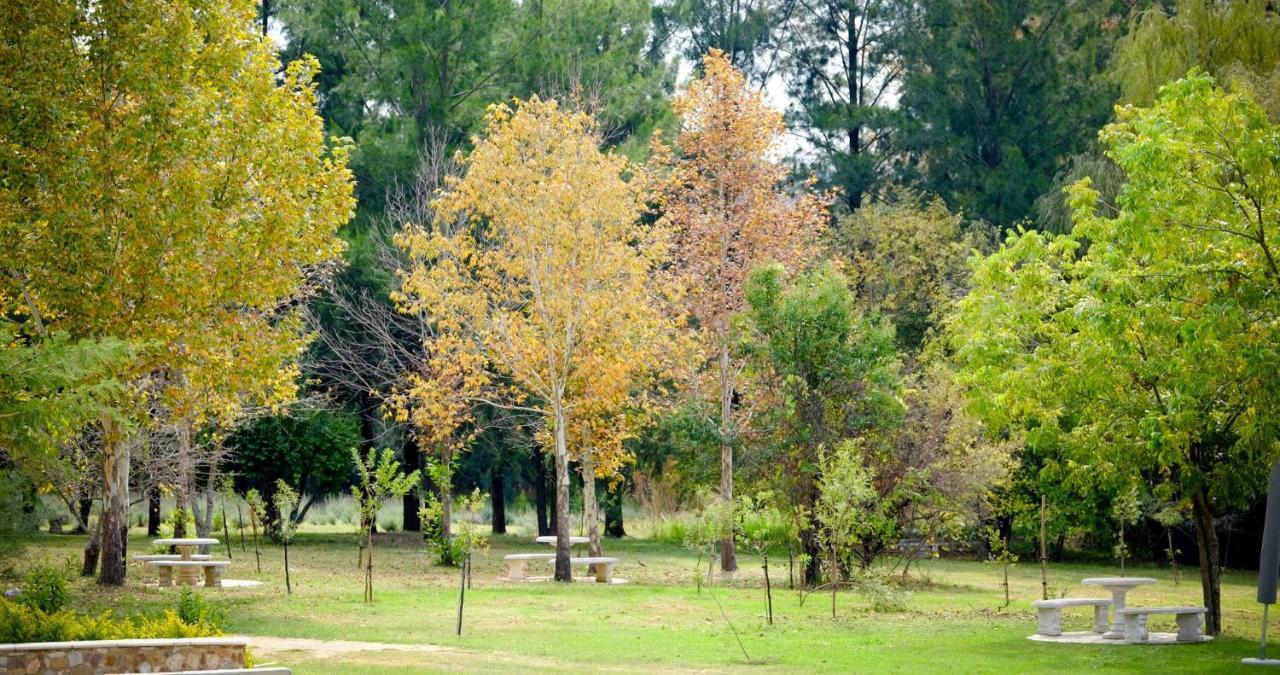 Toadbury Hall Country Hotel Johannesburg Exteriör bild