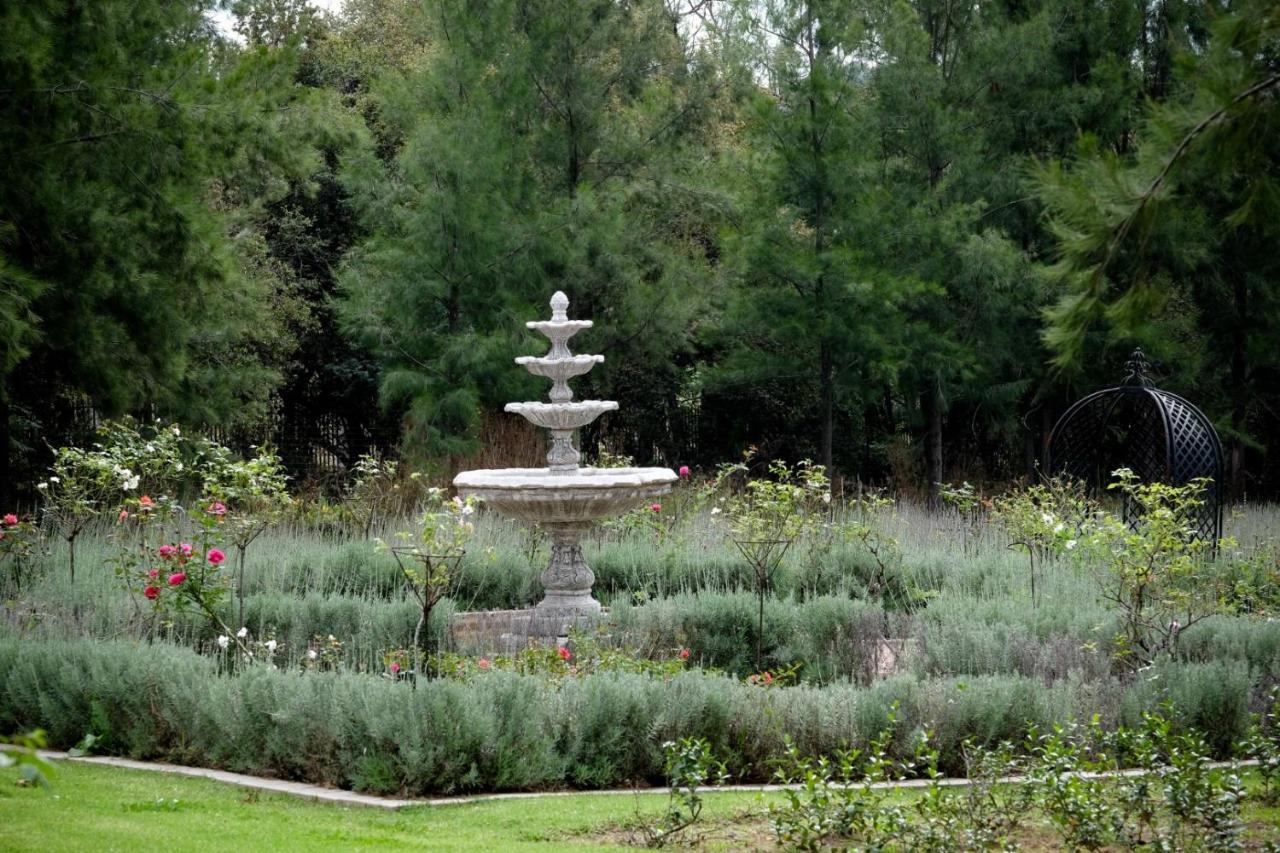 Toadbury Hall Country Hotel Johannesburg Exteriör bild