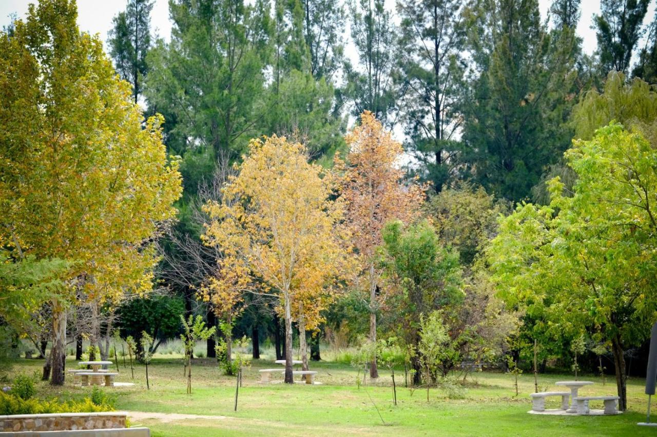 Toadbury Hall Country Hotel Johannesburg Exteriör bild